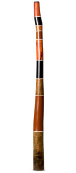Tristan O'Meara Didgeridoo (TM304)